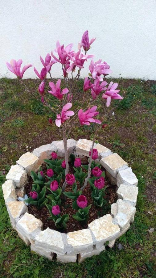הוילה פורץ Palme מראה חיצוני תמונה