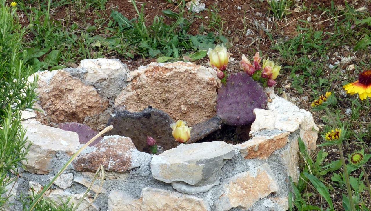 הוילה פורץ Palme מראה חיצוני תמונה